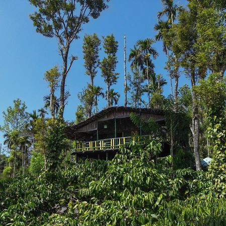 The Mountain Tree Home Wayanad Eksteriør billede