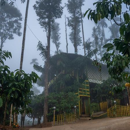 The Mountain Tree Home Wayanad Eksteriør billede
