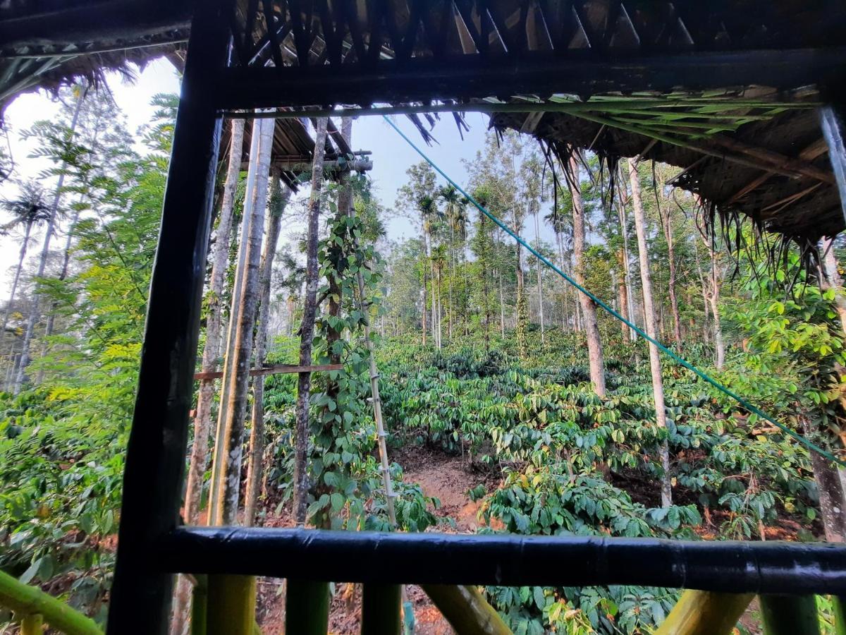 The Mountain Tree Home Wayanad Eksteriør billede