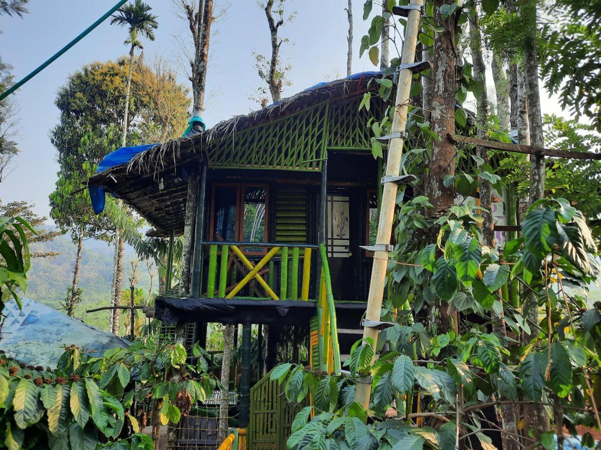 The Mountain Tree Home Wayanad Eksteriør billede