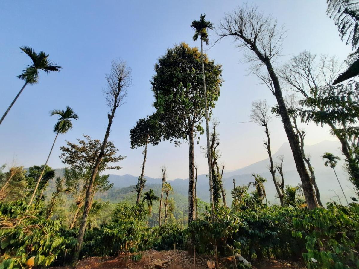 The Mountain Tree Home Wayanad Eksteriør billede
