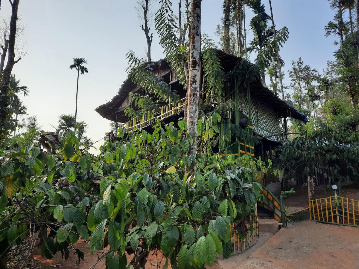 The Mountain Tree Home Wayanad Eksteriør billede