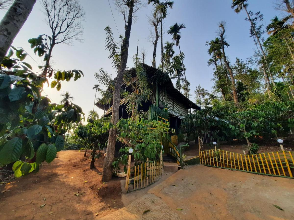 The Mountain Tree Home Wayanad Eksteriør billede
