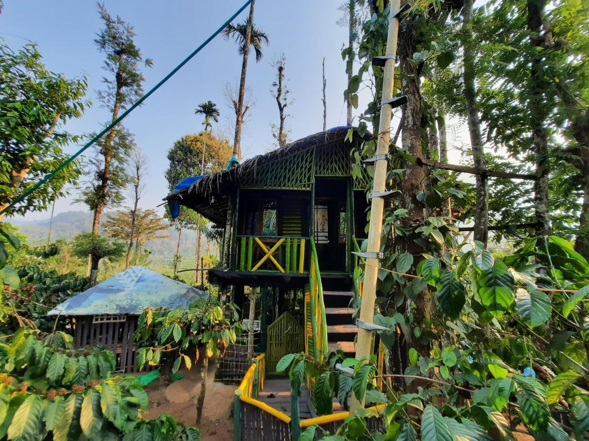 The Mountain Tree Home Wayanad Eksteriør billede
