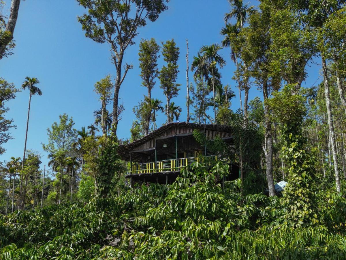 The Mountain Tree Home Wayanad Eksteriør billede