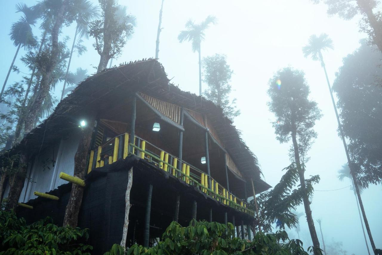 The Mountain Tree Home Wayanad Eksteriør billede
