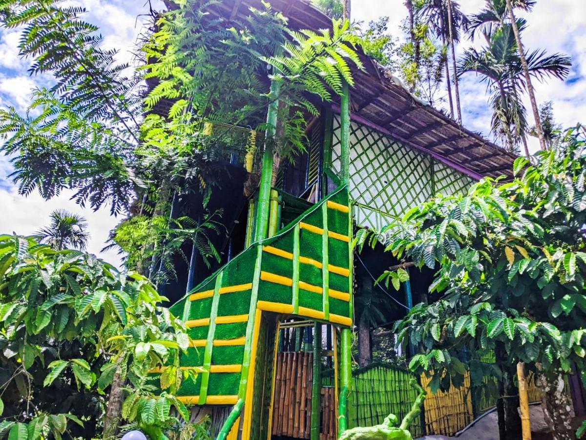 The Mountain Tree Home Wayanad Eksteriør billede